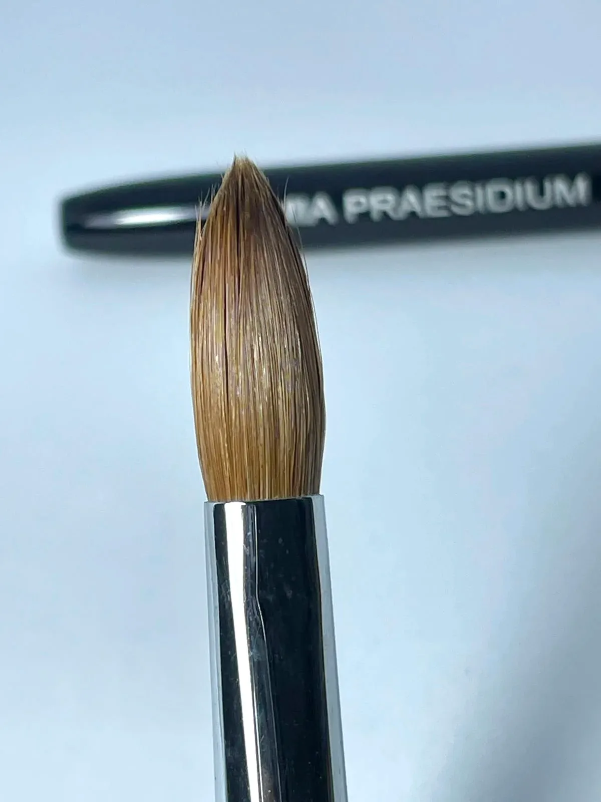 Pincel profesional para Acrílico #12 SAMIA