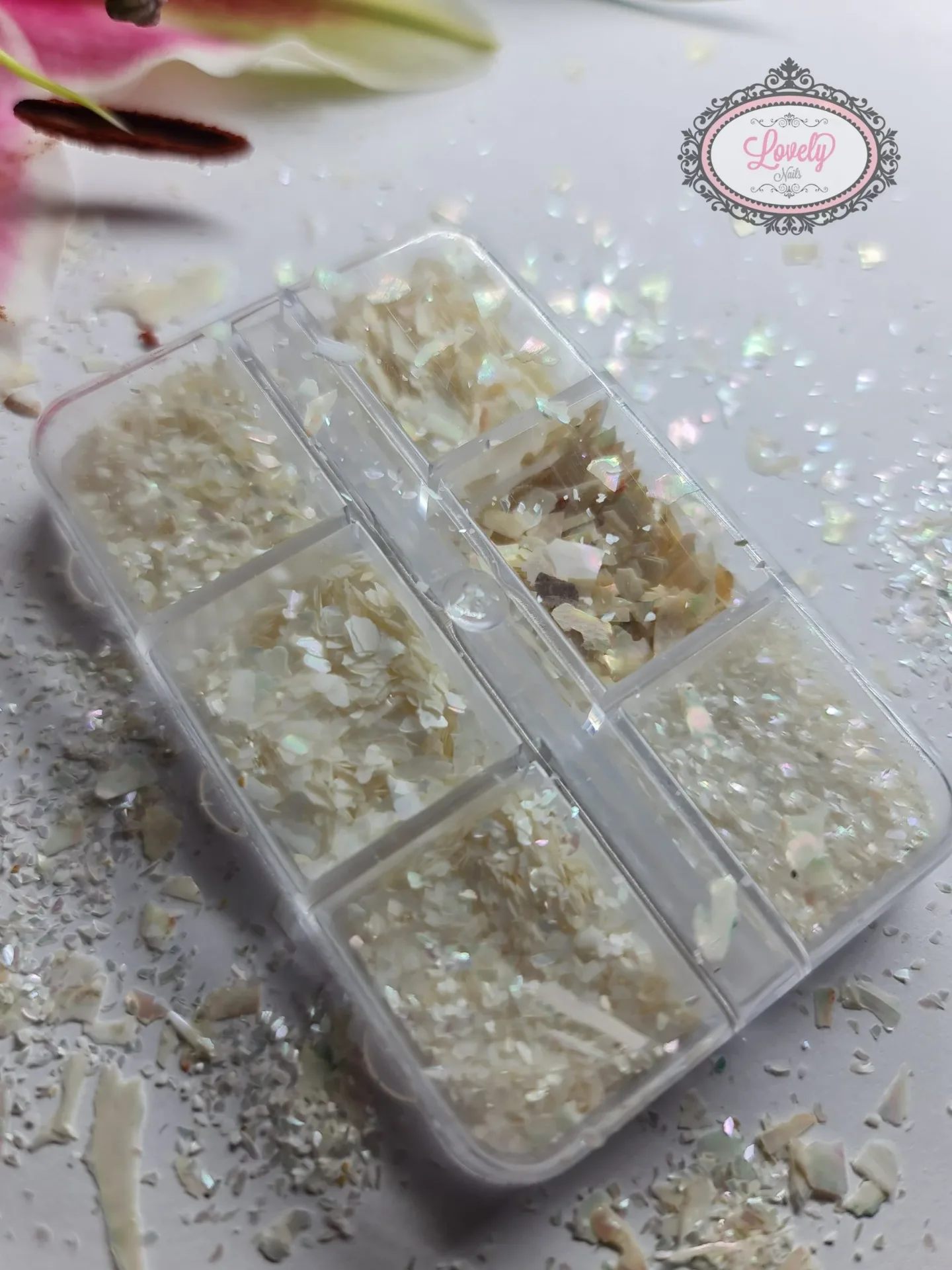 Concha nacar blanca